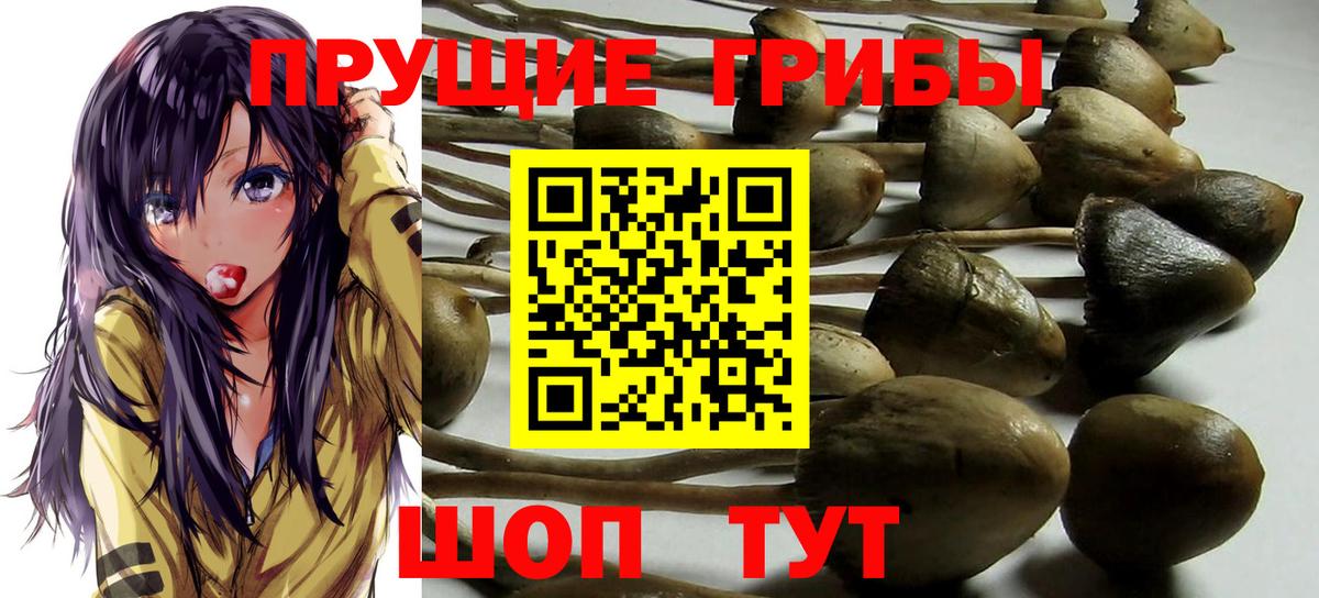 Галлюциногенные грибы мицелий Арсеньев